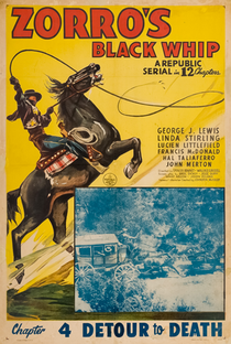 O Chicote do Zorro - Poster / Capa / Cartaz - Oficial 11