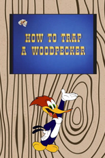 Como Capturar um Pica-Pau (How to Trap a Woodpecker)