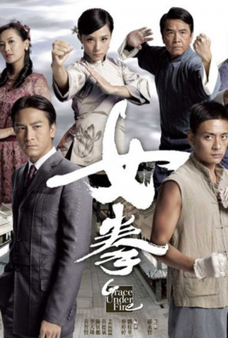 Poster 1 de Série Grace Under Fire (2011)