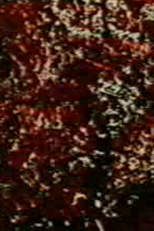 Prelude 11 (Prelude 11)