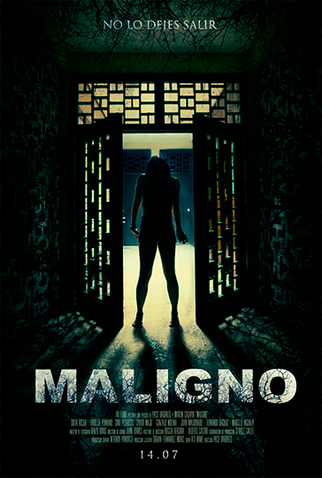 Poster 1 de Filme Maligno (2016)