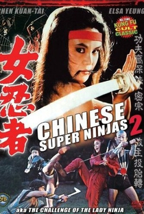 Challenge of the Lady Ninja - Poster / Capa / Cartaz - Oficial 3