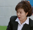 13회