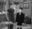 Beaver's Short Pants
