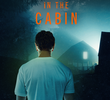 Trapped in the Cabin