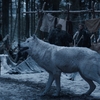 Ghost retornará em última temporada de Game of Thrones