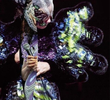 Björk – Vulnicura Live