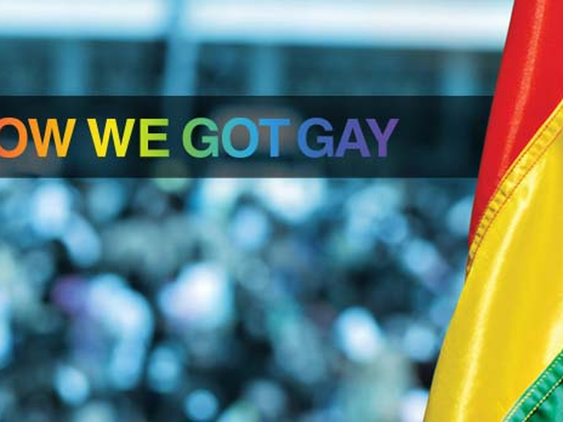 Foto 1 de How We Got Gay