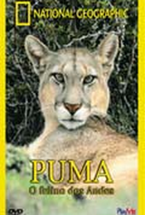 National Geographic: Puma - O Felino dos Andes - Poster / Capa / Cartaz - Oficial 1
