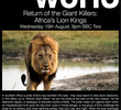 BBC Natural World - Return of the Giant Killers: Africa's Lion Kings