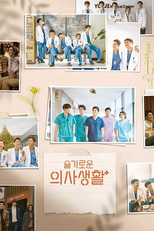 슬기로운 의사생활 (슬기로운 의사생활)