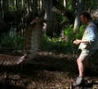 The Bug House