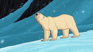 Trailer: Snow Bear | movie | 2024 | Official Trailer