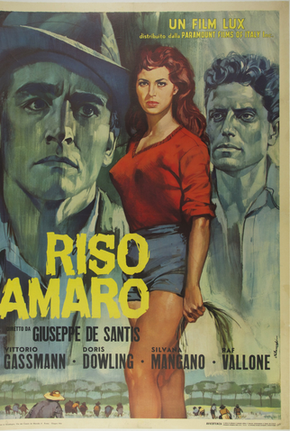 Poster 8 de Filme Arroz Amargo (1949)