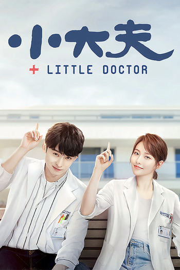 Poster de Franquia 小大夫 (2020)
