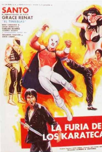 A Fúria dos Karatecas - Poster / Capa / Cartaz - Oficial 1