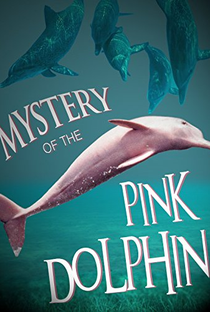 The Mystery of the Pink Dolphin - Poster / Capa / Cartaz - Oficial 1