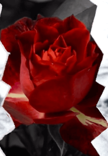 Um cinema caligrafico (Um cinema caligrafico)