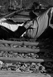 Mr. Abrakadabra! (Mr. Abrakadabra!)