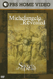 O Lado Obscuro de Michelangelo - Poster / Capa / Cartaz - Oficial 1