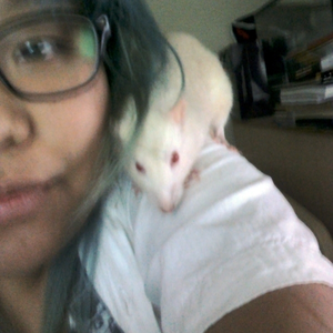 Foto de perfil de kemi