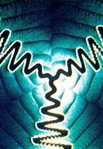 Spiral 5, PTL (Spiral 5, PTL)