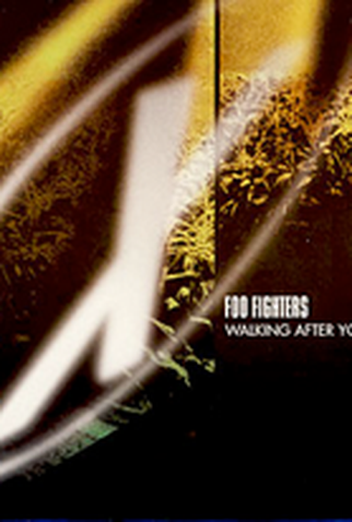 Poster 1 de Curta Foo Fighters: Walking After You (1998)