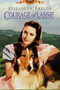 A Coragem de Lassie - Poster / Capa / Cartaz - Oficial 3
