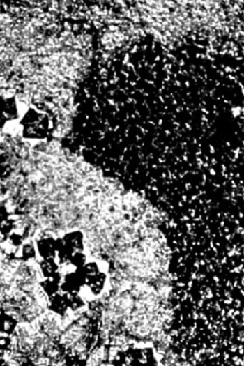 Poster de Curta Clepsydra (1992)