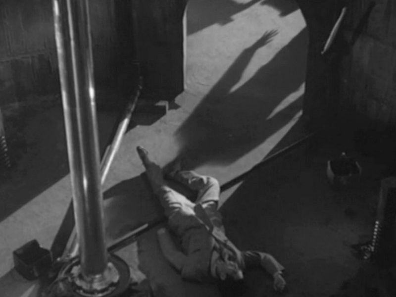 Foto 3 de Vampire Moth