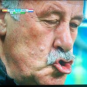 Foto de perfil de Nestor