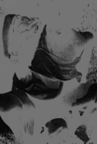 Poster 1 de Filme XCXHXEXRXRXIXEXSX (2021)
