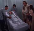 Believers