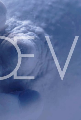 Poster 1 de Curta Nœvus (2016)