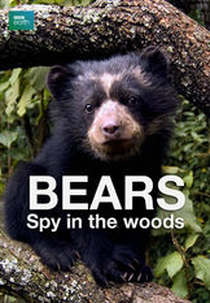 Bears: Spy in the Woods (Bears: Spy in the Woods)