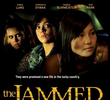 The Jammed