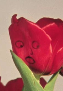 13 Essential Rules for Understanding the World (13 Essential Rules for Understanding the World)