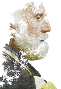 Envelhescência (Envelhescência)