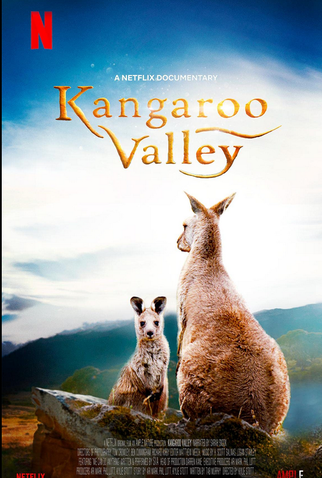 Poster 1 de Filme Vale dos Cangurus (2022)