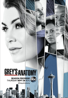 A Anatomia de Grey (14ª Temporada)