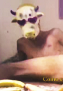 Tesão de Vaca (Tesão de Vaca)