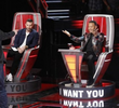 The Blind Auditions, Part 4