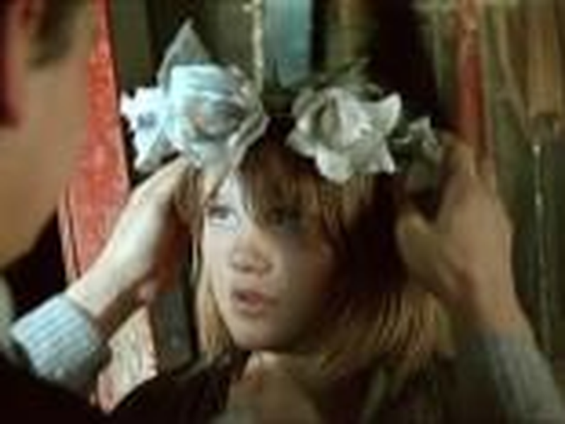 Foto 13 de Shine, Shine, My Star 