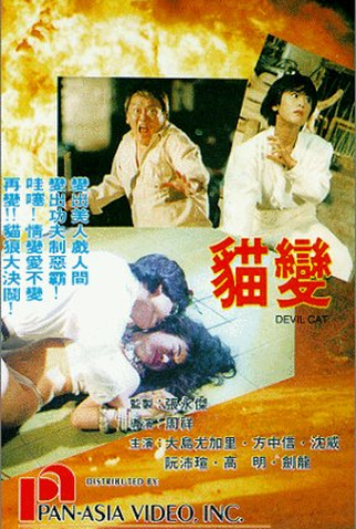 Poster 2 de Filme Devil Cat (1991)