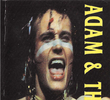 Adam and the Ants ‎– Live In Tokyo