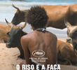 O Riso e a Faca
