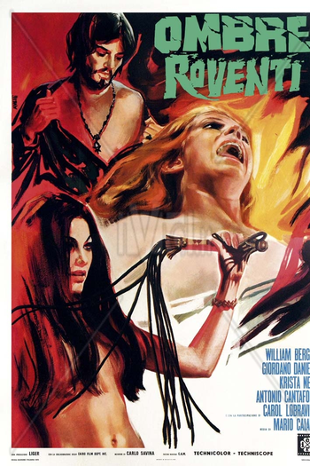 Poster de Filme Sombra da ilusão (1970)