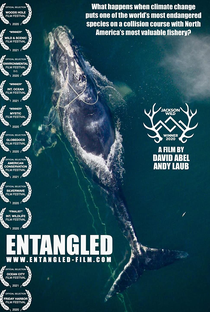 Baleias Enredadas - Poster / Capa / Cartaz - Oficial 1