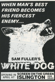 Cão Branco - Poster / Capa / Cartaz - Oficial 6