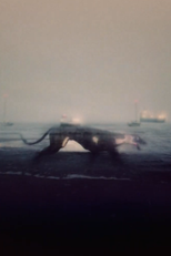 Otro: Suburbia (Entering) (Otro: Suburbia (Entering))